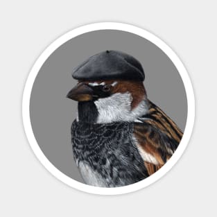 Spanish sparrow Magnet